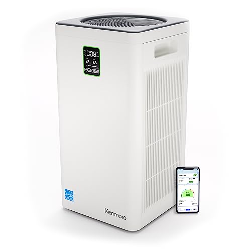 Air Purifier for Smoke: Kenmore PM4030 H13 HEPA Filter