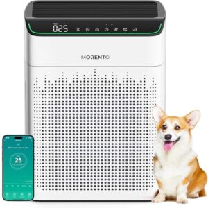Air Purifier for Smoke – MORENTO Large Room WiFi Compatible