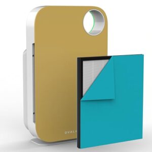Air Purifier for Smoke: OVAL AIR1000H 5-in-1 HEPA Device