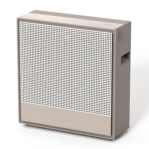 Best Air Purifier for Home: Coway for Large Rooms & Allergies