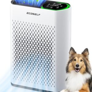 Best Air Purifier for Home: ECOSELF for Large Rooms & Pets Best Air Purifier for Home: ECOSELF for Large Rooms & Pets