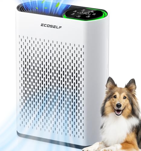Best Air Purifier for Home: ECOSELF for Large Rooms & Pets