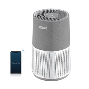 Best Air Purifier for Home: Rowenta Pure Air City 876 Sq Ft Best Air Purifier for Home: Rowenta Pure Air City 876 Sq Ft