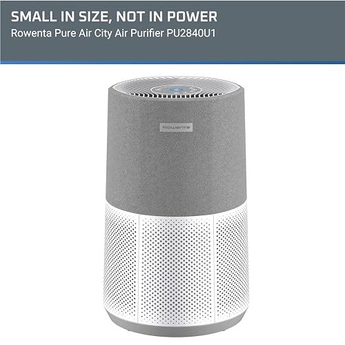 Best Air Purifier for Home: Rowenta Pure Air City 876 Sq Ft - Image 2