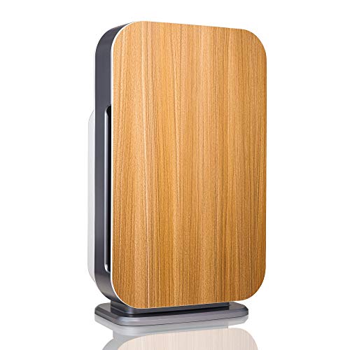 Best Air Purifier for Pets: Alen BreatheSmart Flex HEPA