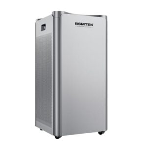 Best Air Purifier for Pets: BSMTEK Large Room Filter