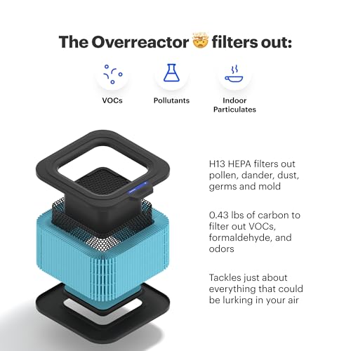 Best Air Purifier for Pets: Mila Air Mini with H14 HEPA Filter - Image 2