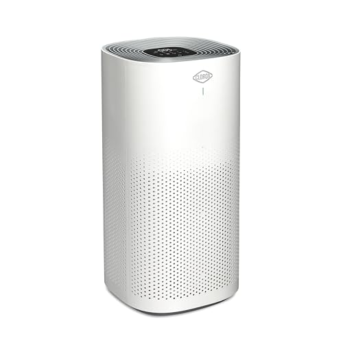 "Clorox Air Purifier: HEPA Filter for XL Rooms, Quiet & Effective"
