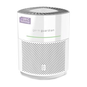 Effective Air Purifier for Hayfever Relief in Large Rooms Effective Air Purifier for Hayfever Relief in Large Rooms