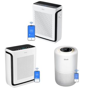 Effective Air Purifier for Mold: LEVOIT Solutions