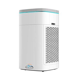 “HEPA Air Purifier with Smart WiFi & Air Quality Sensor” “HEPA Air Purifier with Smart WiFi & Air Quality Sensor”