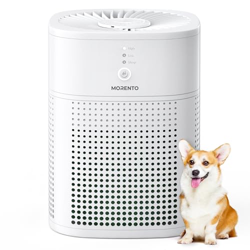 Morento Air Purifier for Hayfever Relief, HEPA Filter, Small