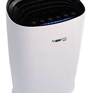 “OdorStop OSAP3600 Air Purifier: H13 HEPA, Carbon, Sleep Mode” “OdorStop OSAP3600 Air Purifier: H13 HEPA, Carbon, Sleep Mode”