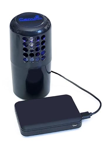 Portable Air Purifier for Dust with Sanitizer Bundle