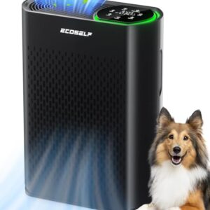 “Powerful HAP602 Air Purifier: Large Rooms, Quiet Sleep Mode”