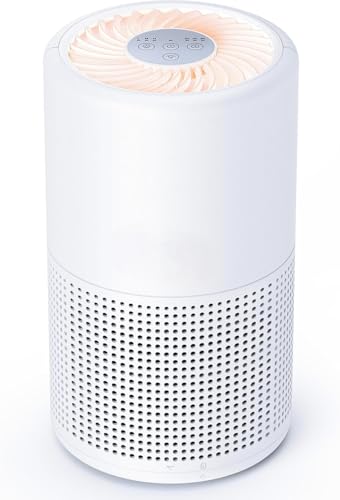 "Quiet True HEPA Air Purifier for Bedroom & Small Spaces"