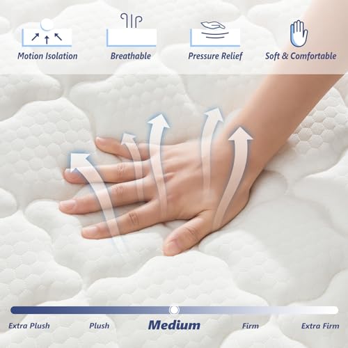 Amztree 14" Queen Mattress - Memory Foam & Pocket Coils - Image 3