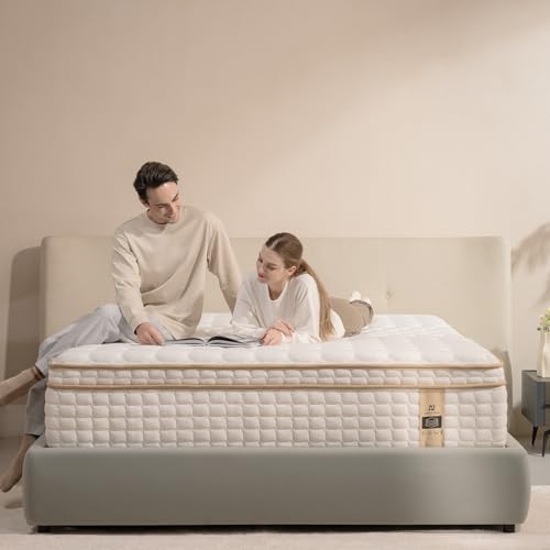 12" Queen Hybrid Mattress in a Box - Memory Foam & Springs