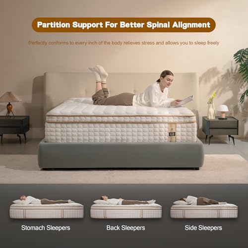12" Queen Hybrid Mattress in a Box - Memory Foam & Springs - Image 3