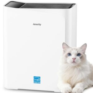 Energy Star Air Purifier for Large Rooms & Pets, AEOCKY Tech